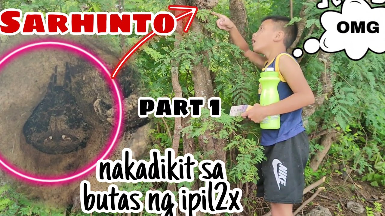 Spider Hunting / (Part 1) SARHINTO nakadikit sa butas ng ipil2x