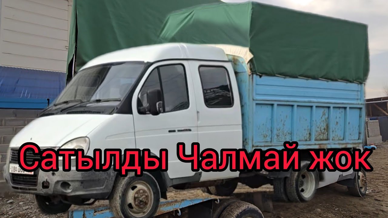 Бүгүн 2 февраль 2026 Ишкедайар газел сатылат #Газел #Афтамабил #актулпар 