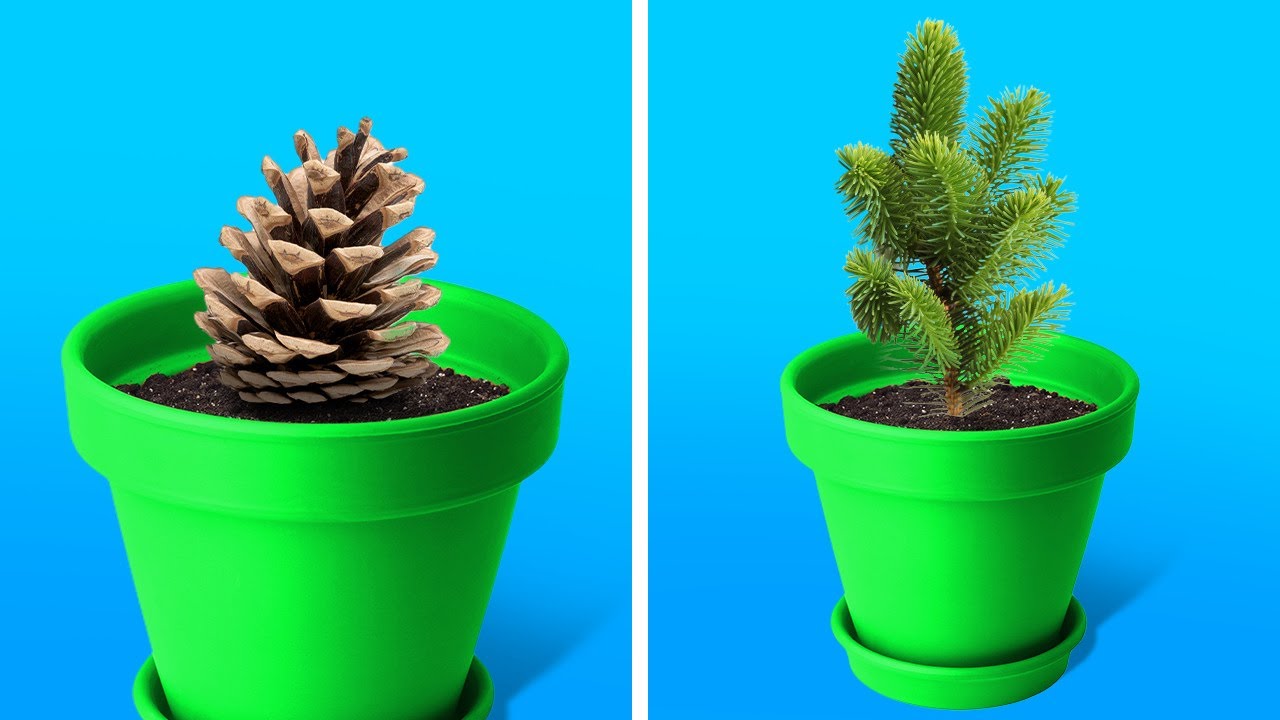 21 BRILLIANT IDEAS FOR YOUR INNER GARDEN