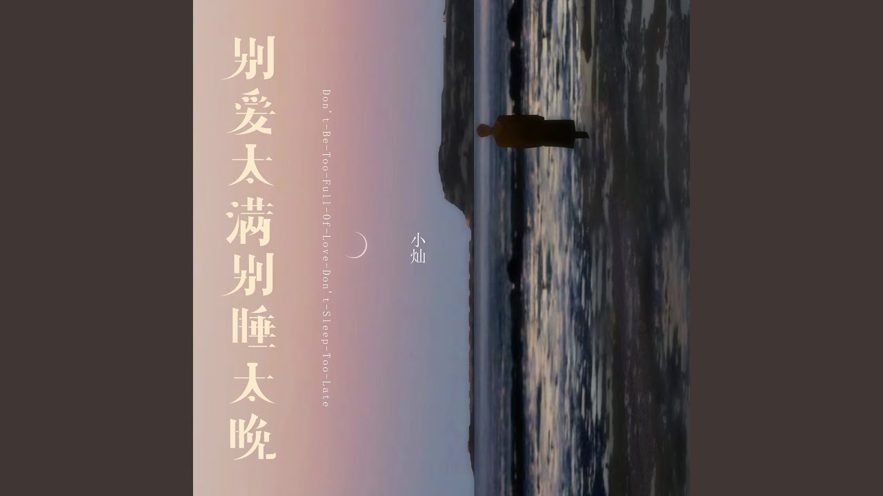 别爱太满别睡太晚 (DJ Eva版)