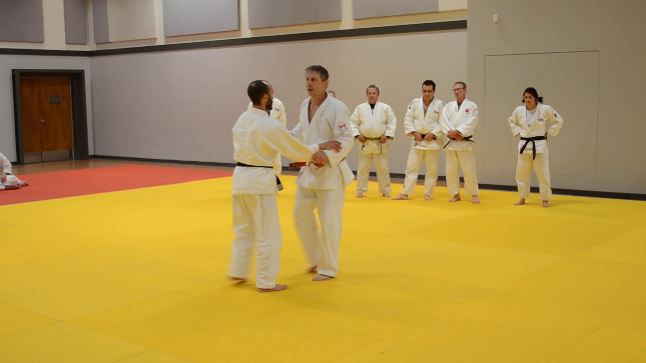 Frédéric Dambach, O Soto Gari en mouvement, Colloque des professeurs- entraîneurs 2019, Judo Québec