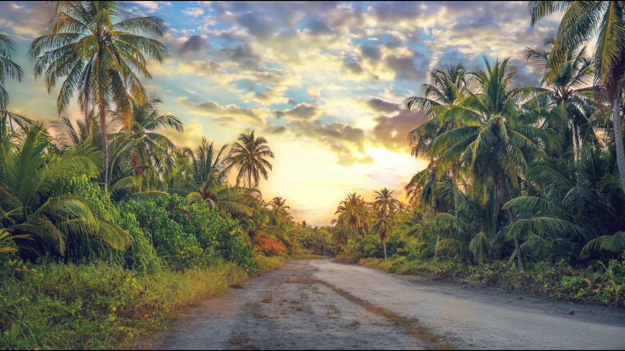 Good morning / music in the morning / light awakening / music for lifting