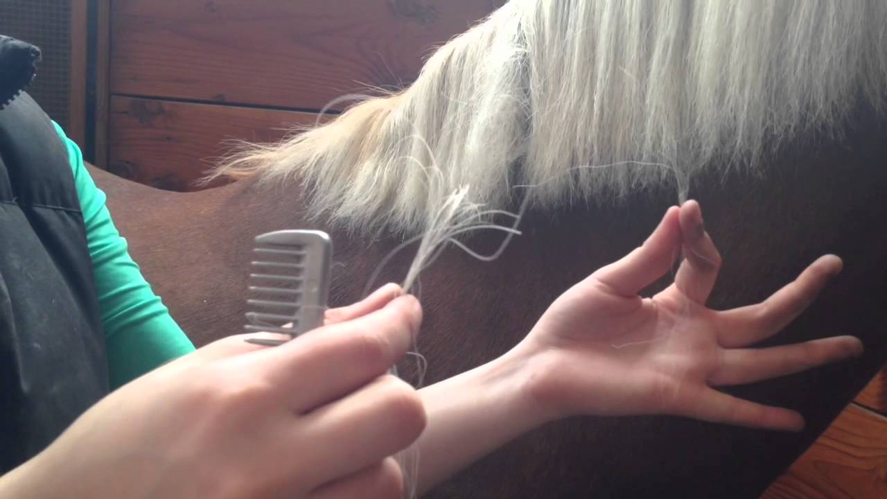 How to pull a mane