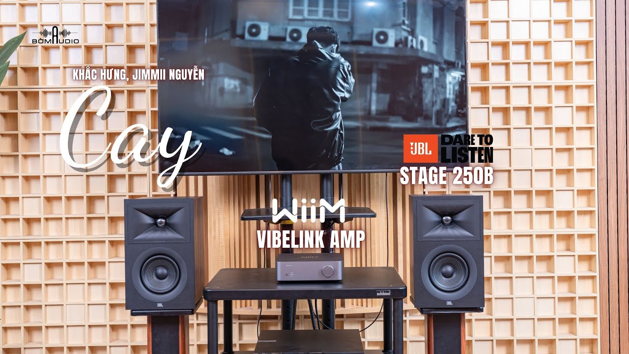 Y&ecirc;u Th&iacute;ch &Acirc;m Bass Lực, D&agrave;y, Đầy - Combo Nghe Nhạc JBL STAGE 250B & WIIM VIBELINK AMP Khoảng 20Tr