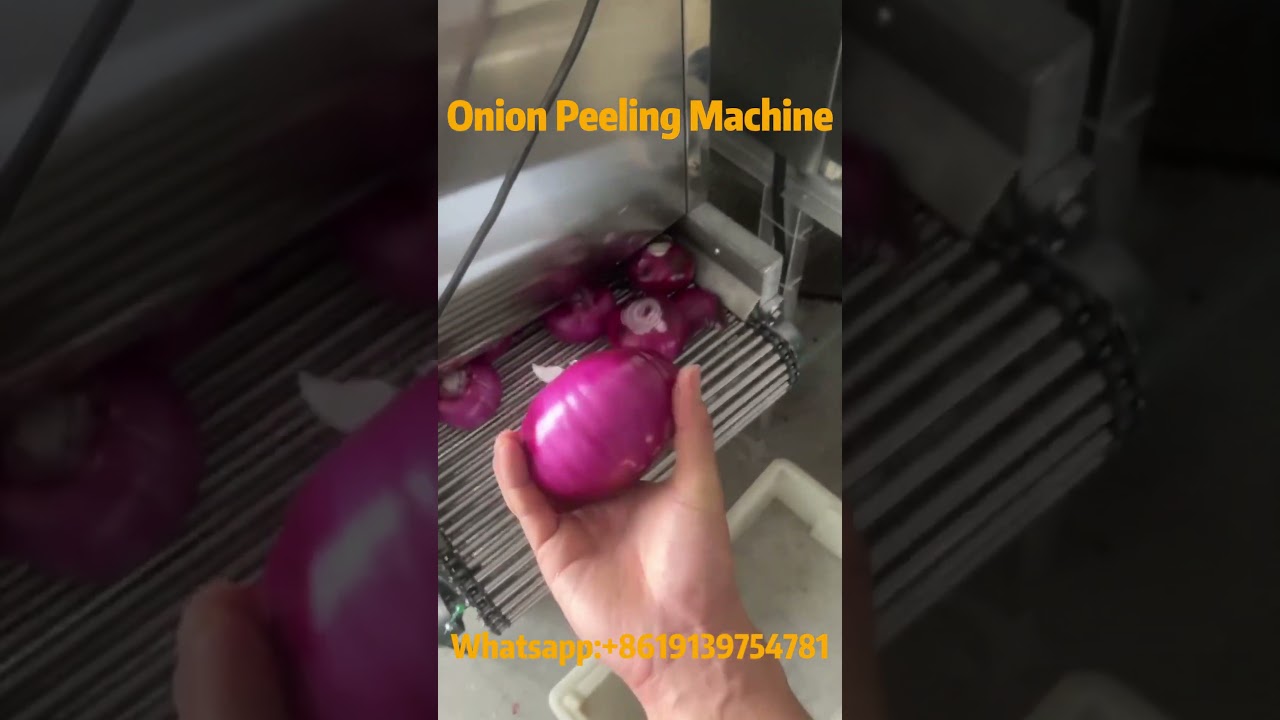 Efficient Onion Peeling Machine: Peeling Rate of 98% Or More