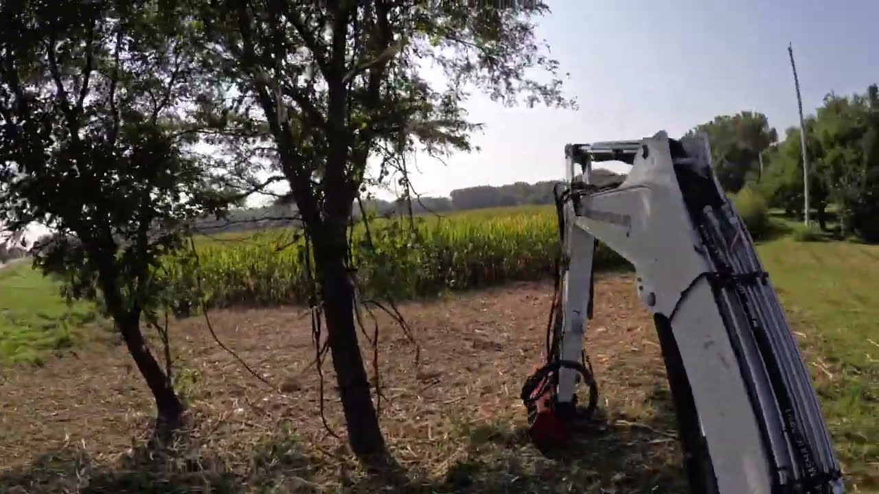 Forestry Mulching with Bobcat E60 & Fecon FMX 36