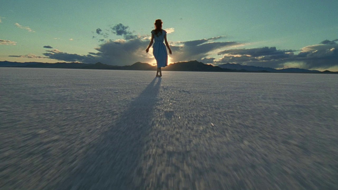 OBRIGADA UNIVERSO by Dani Vasconcelos