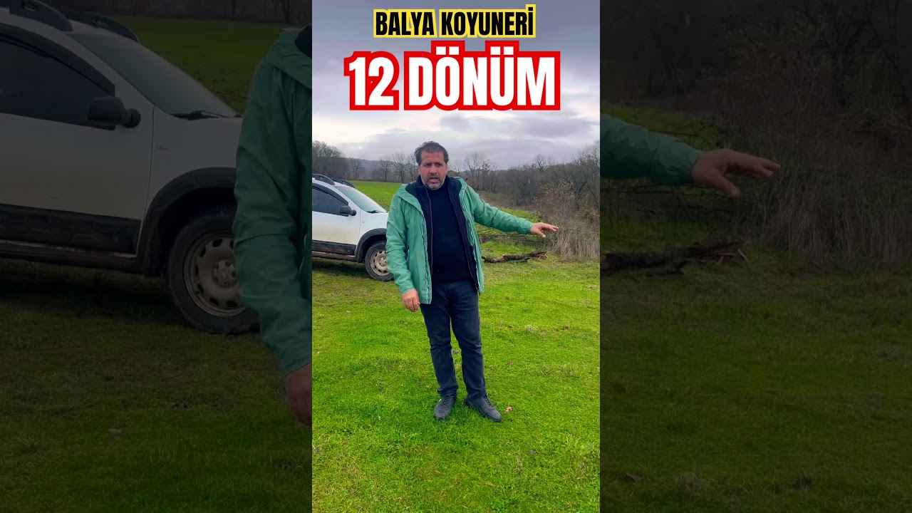 Balya Asfalt 1 parsel 12 d&ouml;n&uuml;m #doğa #balya #koyuneri #satılıkarsa #k&ouml;y