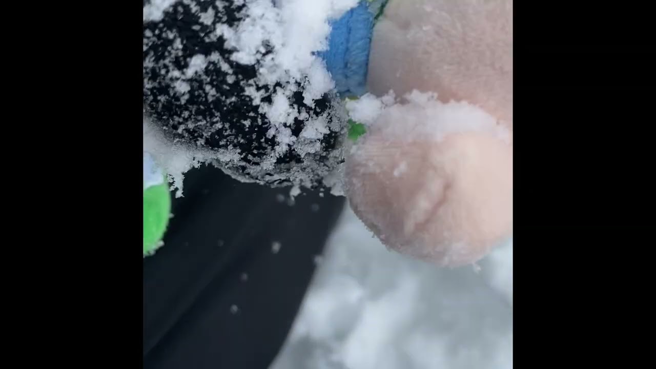 The snow day