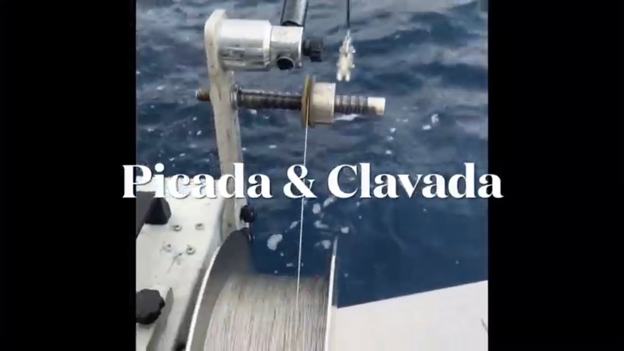 Medregal & Kristal Fishing