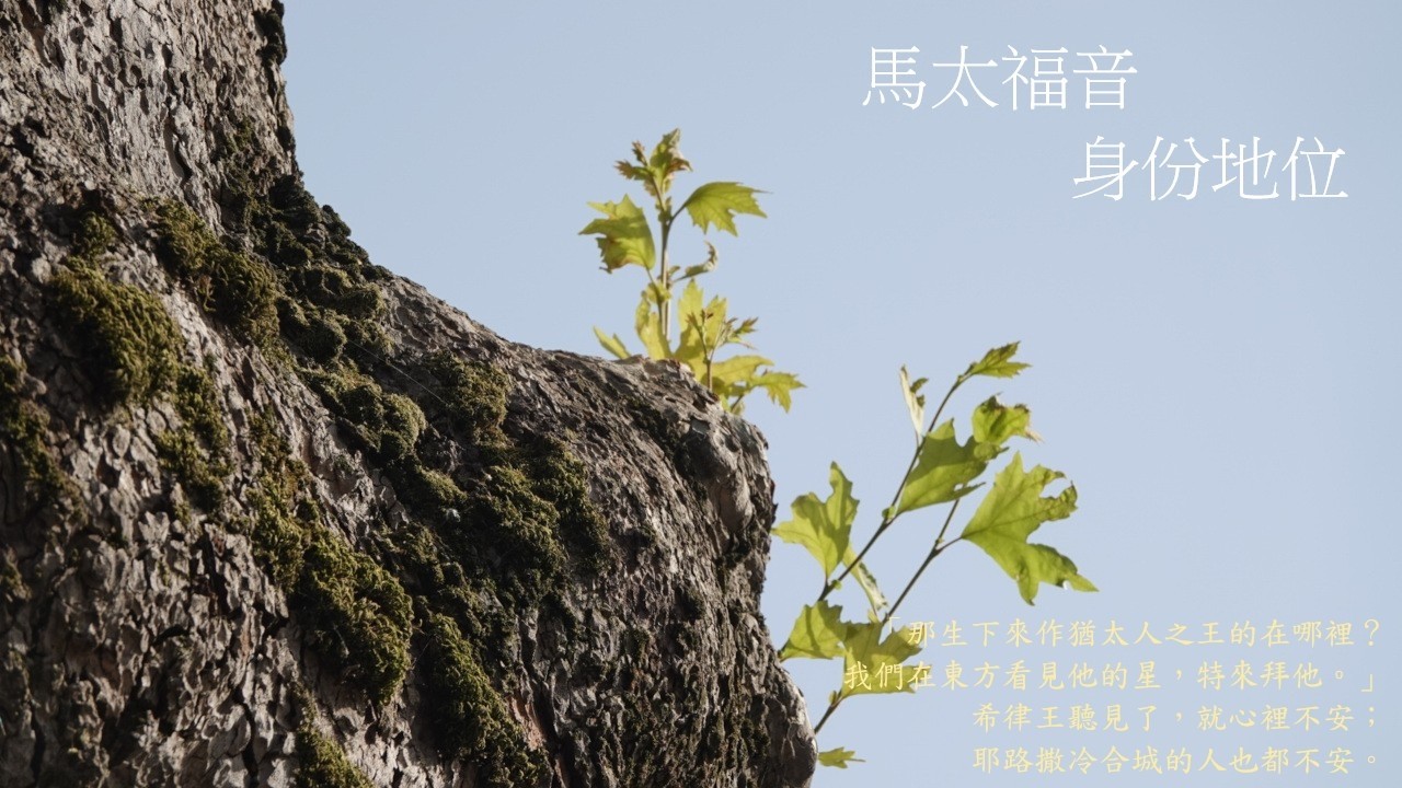 靈修:馬太福音-身份地位 20260307