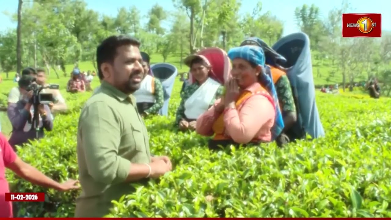 கொழுந்து பறித்துக்கொண்டிருந்த தொழிலாளர்களை சந்தித்து அளவளாவிய ஜனாதிபதி அனுர #akd #newsfirsttamil