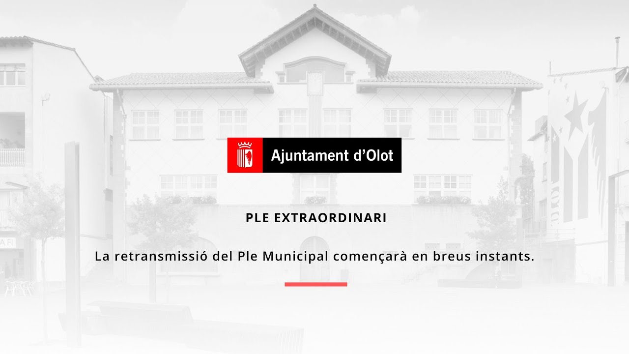Ajuntament d'Olot | Ple del Consell dels Infants