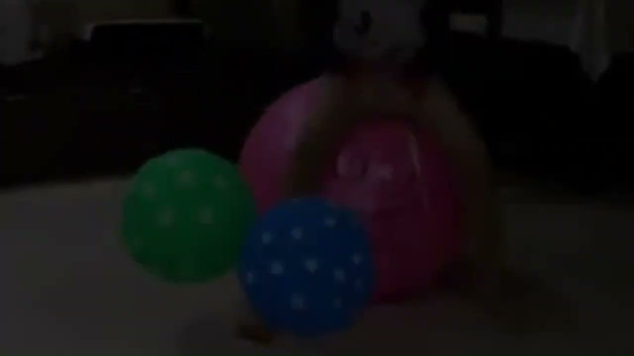 Me Bouncing On My Hopper Ball For 4 Minutes (at Night)