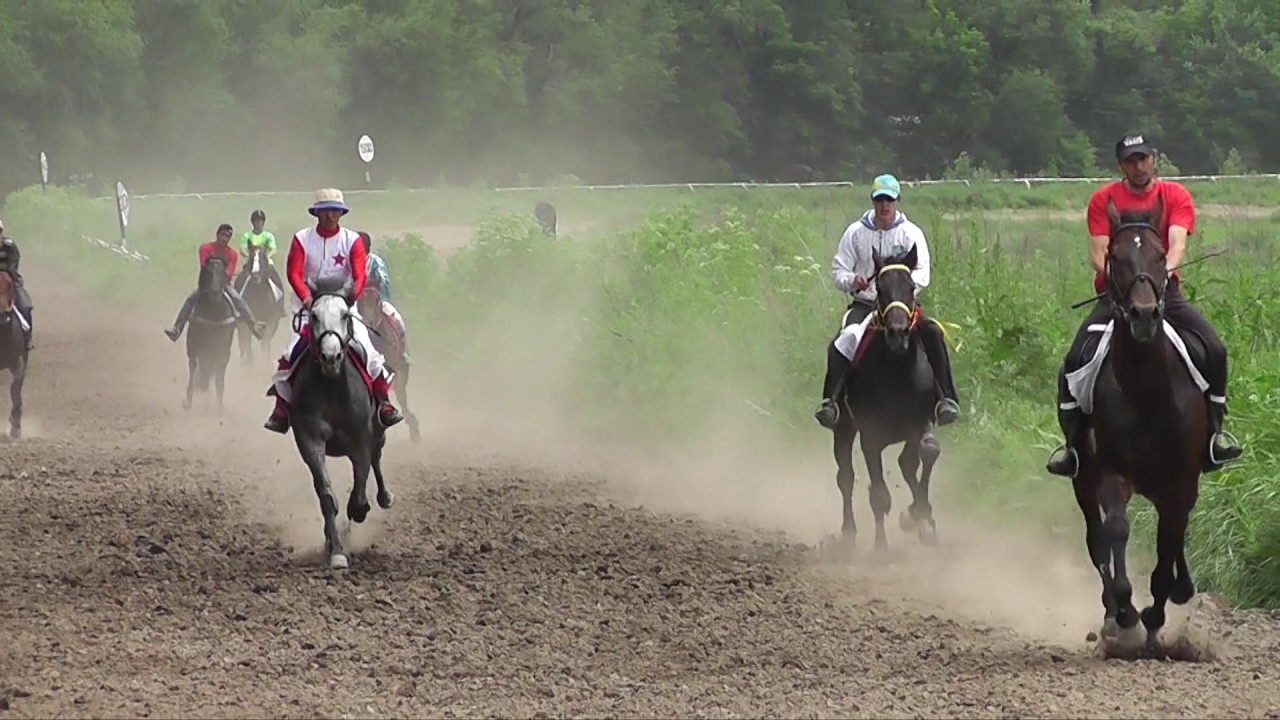 29.05.2016 г.Жорга жарыс