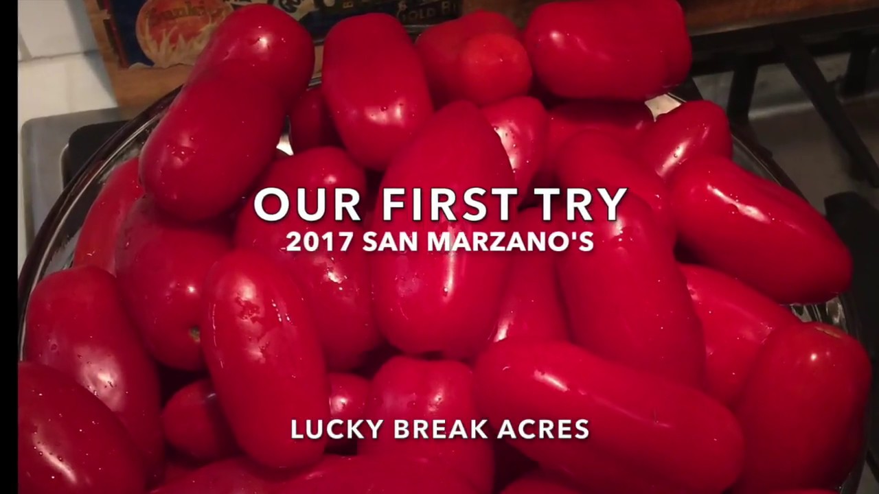 San Marzano Tomatoes