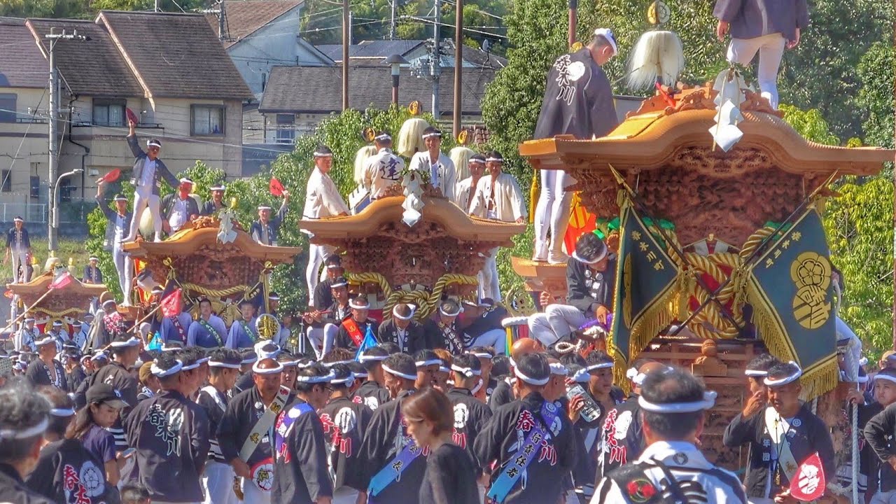 2024.10.12 和泉市 南松尾地区 だんじり ４町曳き やりまわし(若樫·春木·久井·春木川)