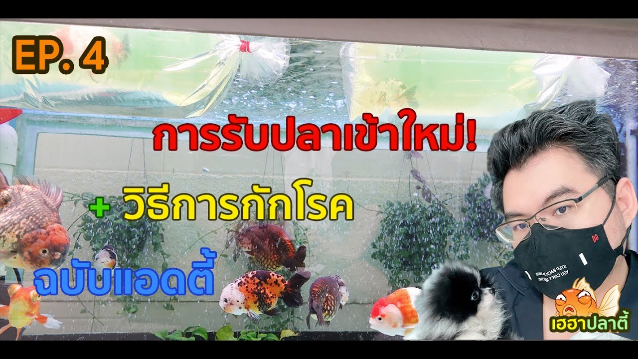 การรับปลาเข้าใหม่ และวิธีการกักโรค ฉบับแอดตี้ | EP.4 | 9 ธ.ค. 64