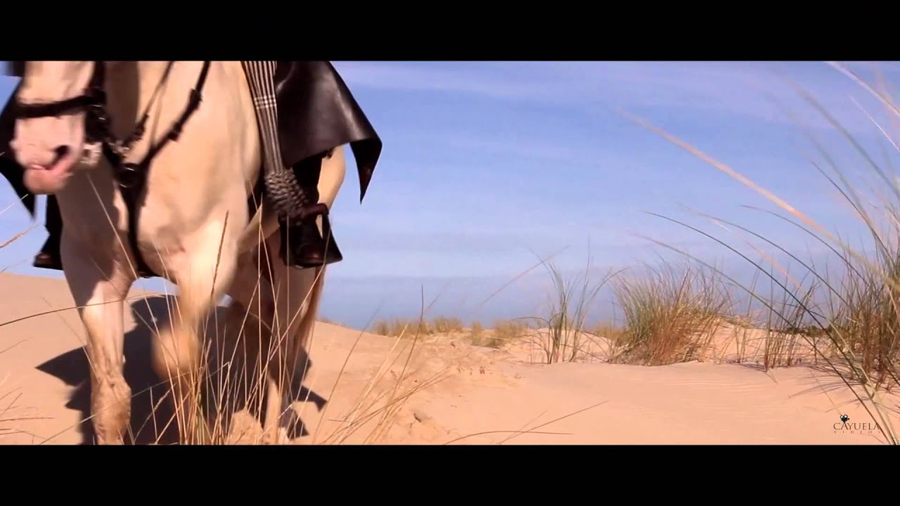 Andrés Romero 2014 - El Sueño de ser Torero - Spot Promocional