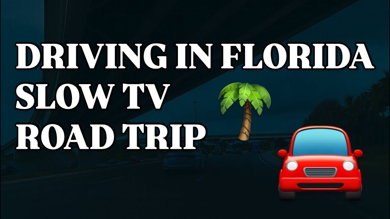 DRIVING IN FLORIDA | SLOW TV | MORNING ROAD