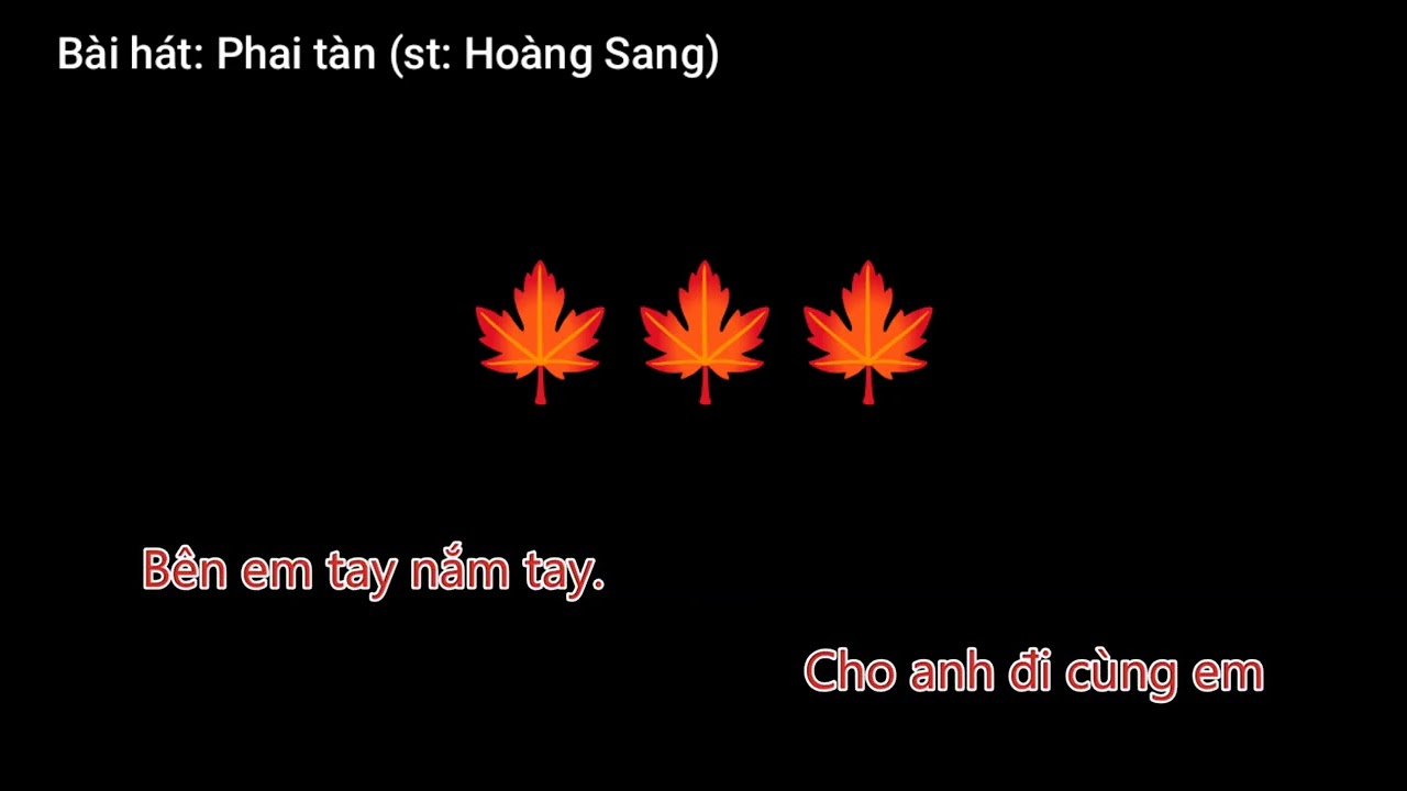 Karaoke Phai tàn | Hoàng Sang