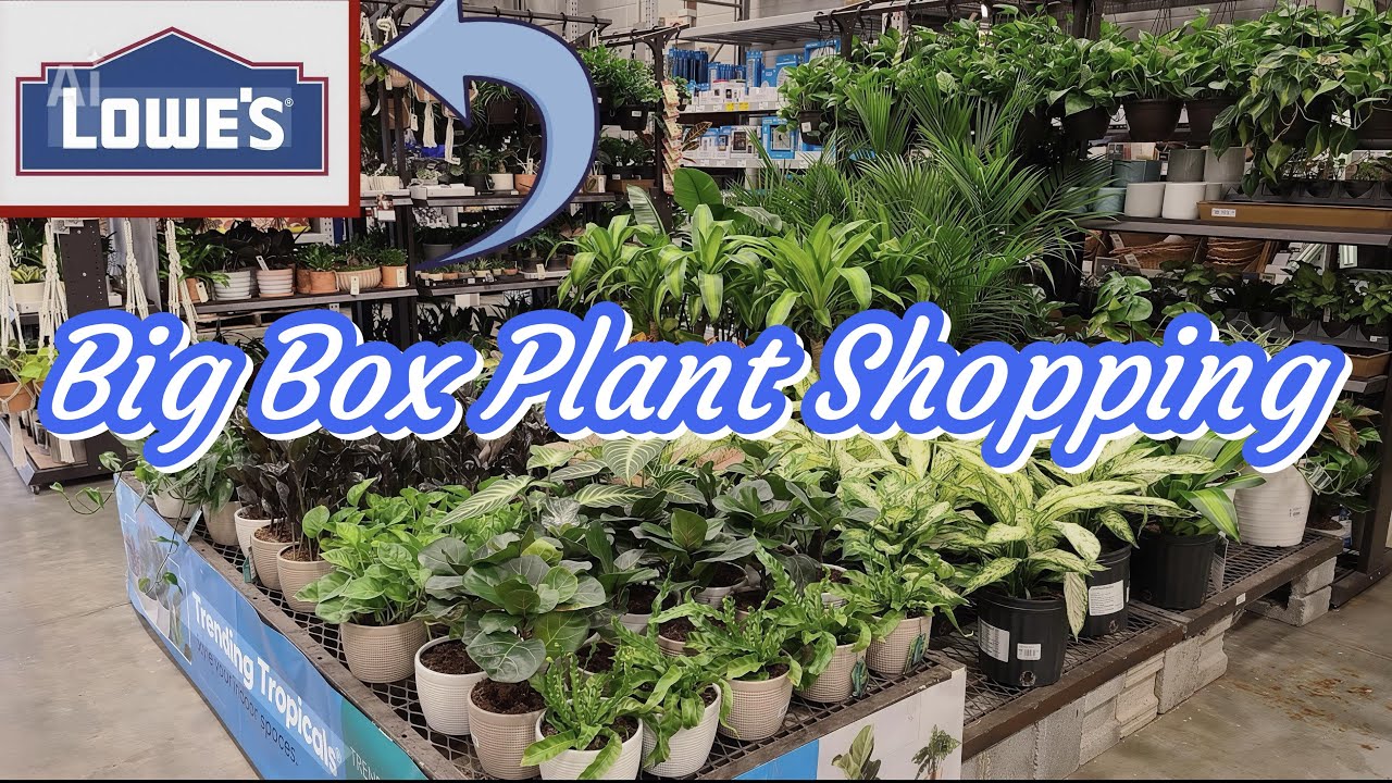 Hunting some Plants at Lowe’s 