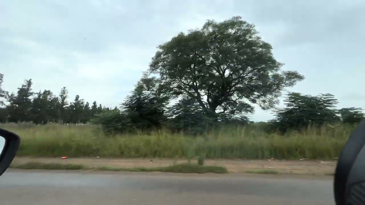 Bonanza, Wesmoot and Kameeldrift, North West, South Africa
