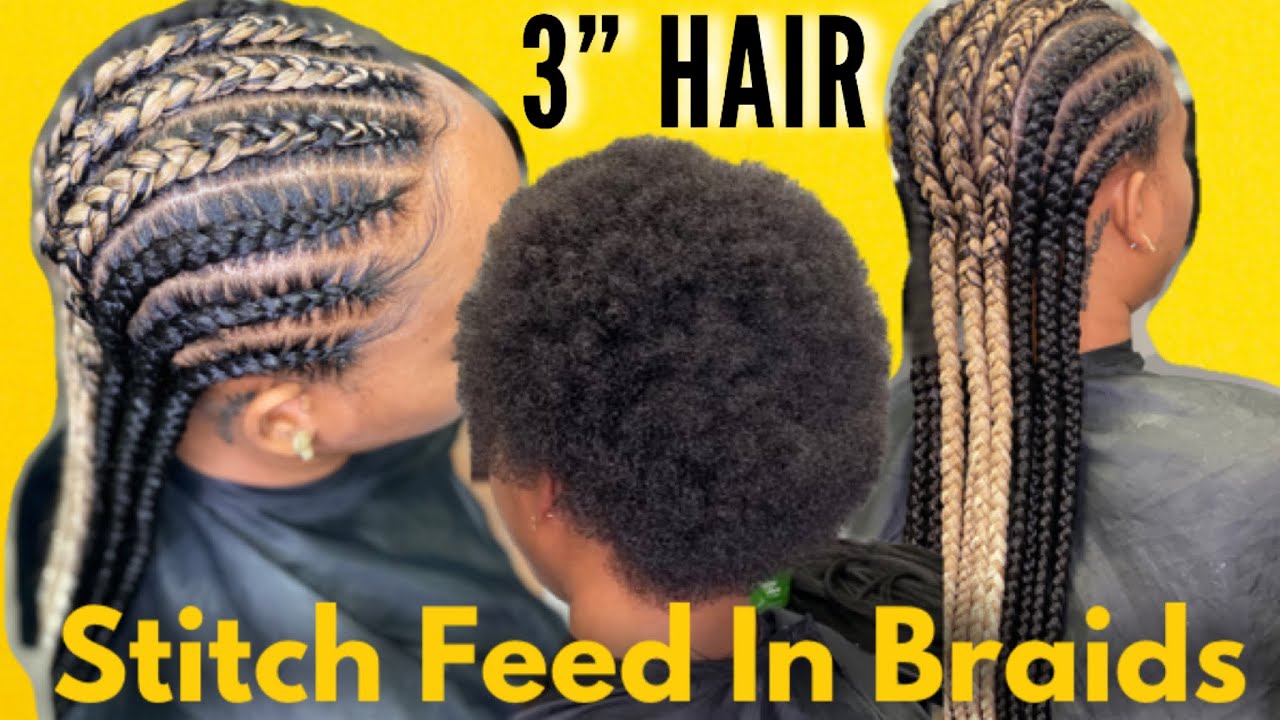 Straight Back Feed In Braids on a Short Afro