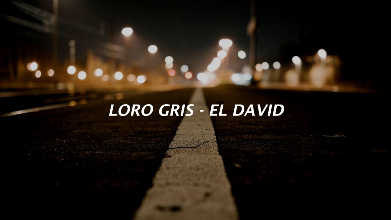 El David - Loro gris [Letra]