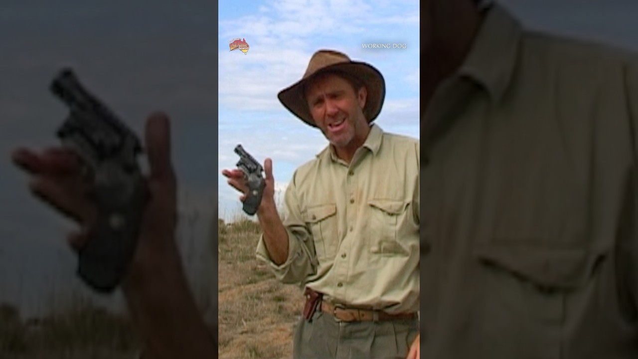 Using A Gun To Call For Help 🔫 | All Aussie Adventures #shorts