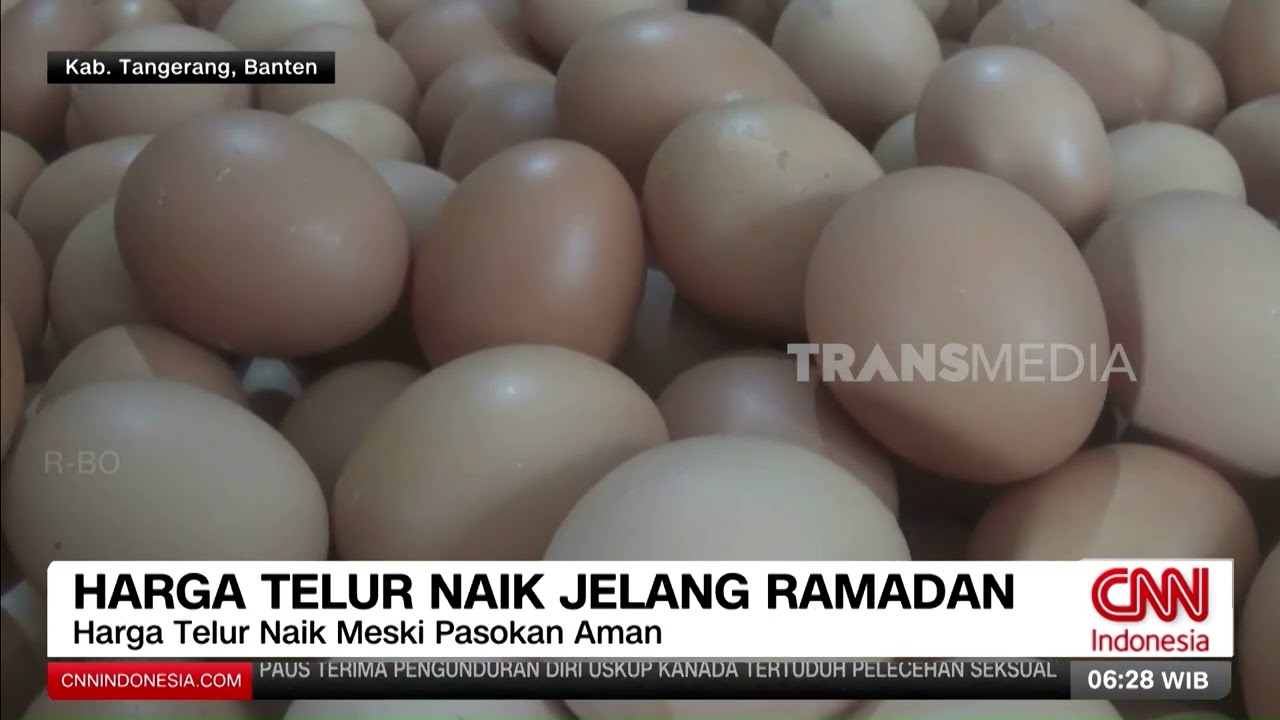 Harga Telur Naik Jelang Ramadan | REDAKSI PAGI (19/02/25)