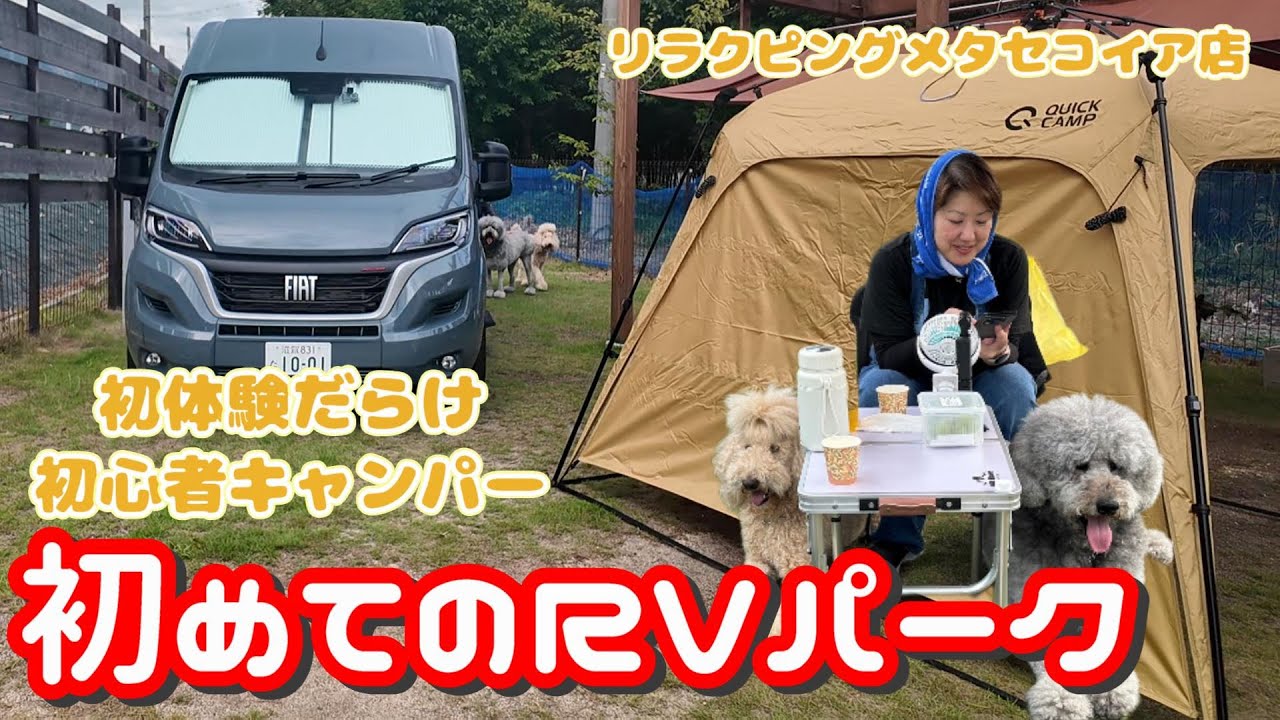 初心者キャンパー初のRVパークプライベートドッグランで大型犬と大はしゃぎキャンピングカーデュカトで車中泊☆コラボ動画