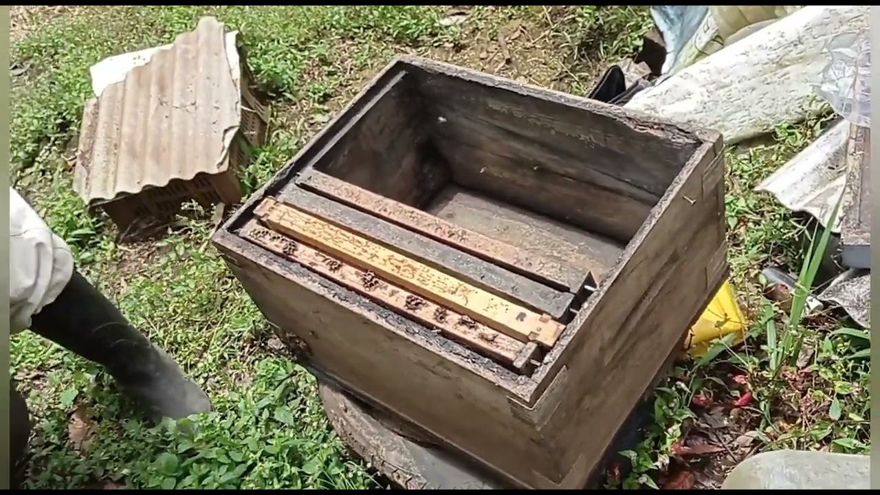 Como fusionar dos núcleos .🐝🐝🐝