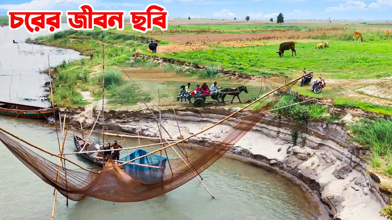 ফরিদপুরের ডিক্রির চরের জীবনছবি | Life in the Char land | Faridpur