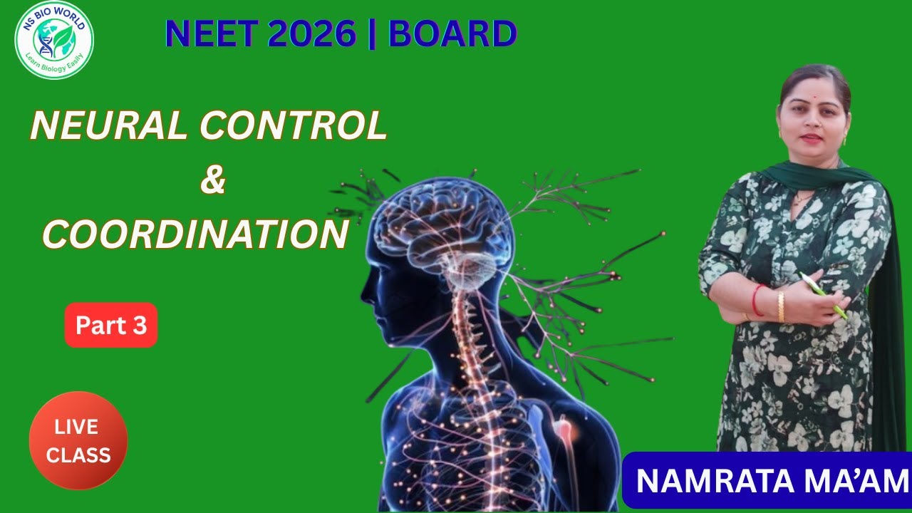 Brain Structure & Functions | Control and Coordination Part 3 | Class 11 Biology | NEET