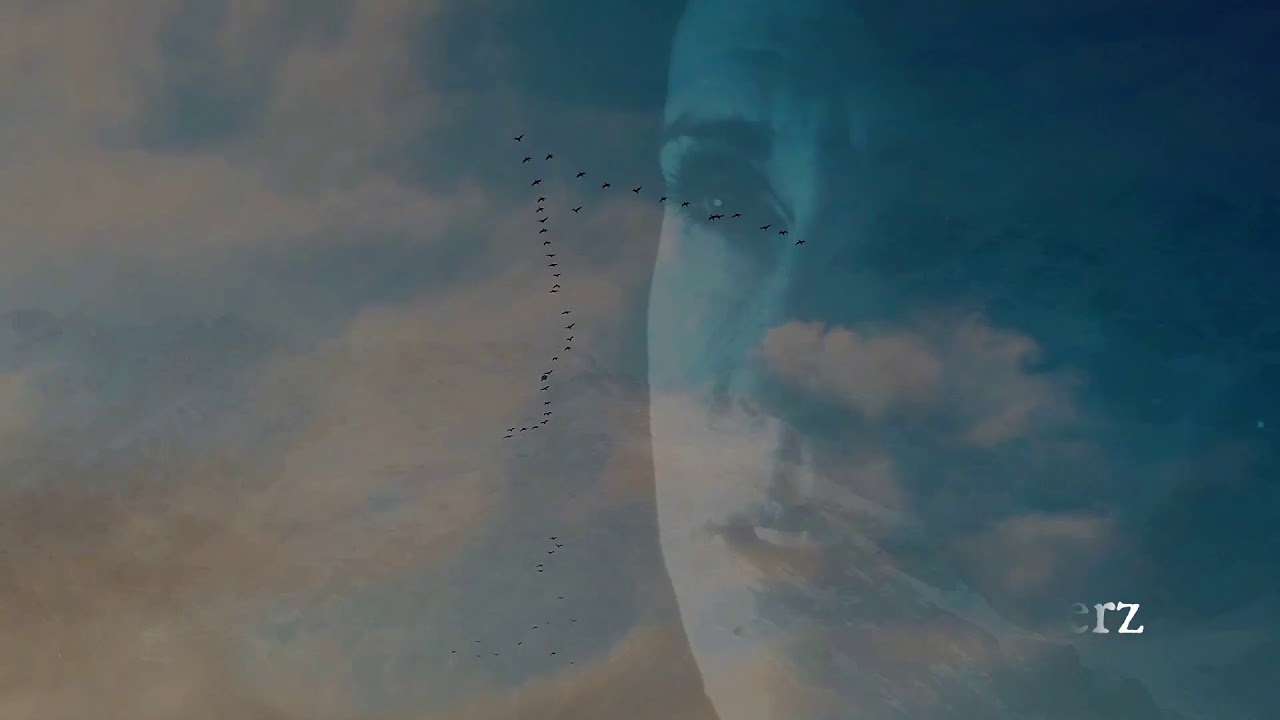 Dania König - Deine Wundernacht (Lyric-Video)