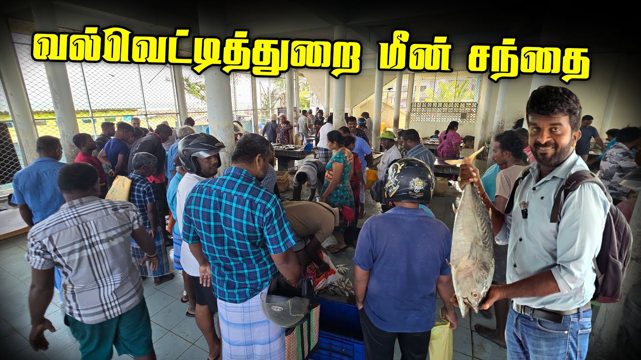 🔴யாழில் பழமை வாய்ந்த வல்வெட்டித்துறை மீன்சந்தை😳| புயலுக்கு பிறகு மீன்களின் விலை கூட தம்பி