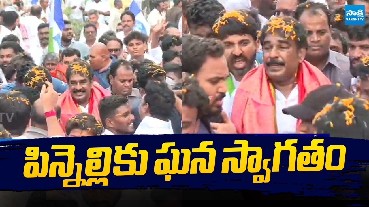 Pinnelli Ramakrishna Reddy Returns to Palnadu After 99 Days | Grand Welcome in Palnadu|@SakshiTVLIVE
