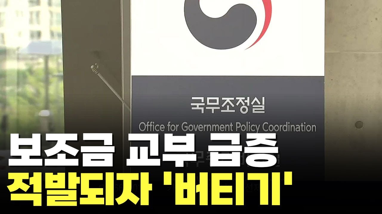 文정부서 시민단체 지원 급증…부당 수령 적발되자 '버티기'