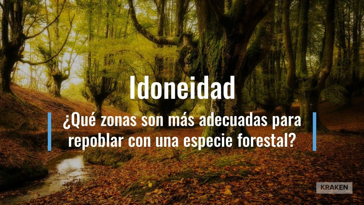 Idoneidad ¿qué zonas son adecuadas para repoblar con una especie forestal?