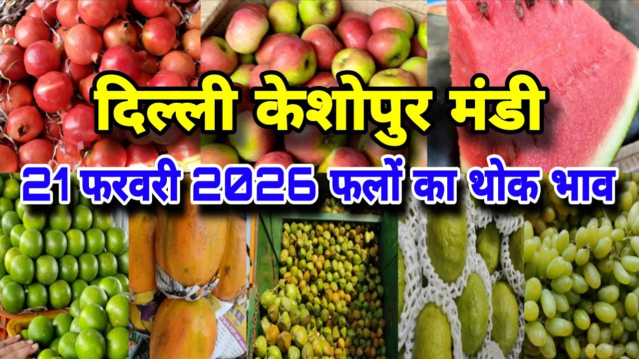 दिल्ली केशोपुर मंडी | फलों का थोक भाव | Apple Market Price | 21 Feb 2026 #apple #appleprice #fruit