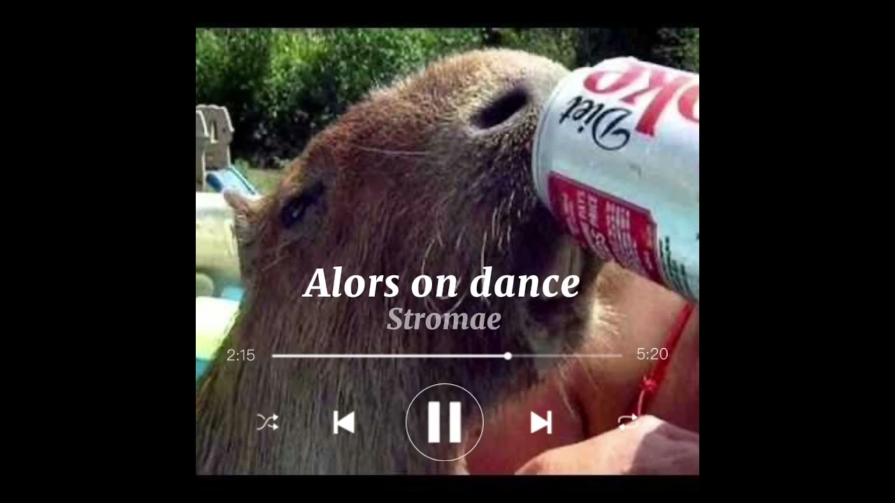 Stromae- Alors on danse (speed up)