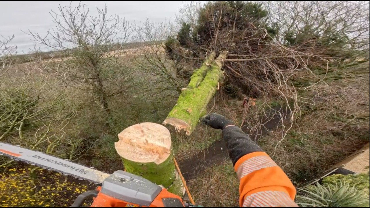 Husqvarna T542i xp In Action
