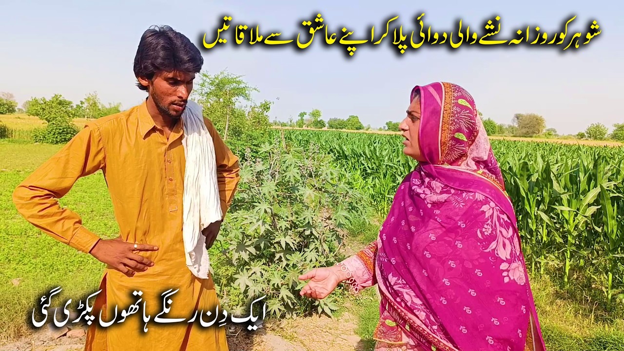 Bivi Apnay Shohar Ko Nashe Wali Dawayi Dy Kar Apnay Aashiq Se Milti \ Drama@batatvpunjabi