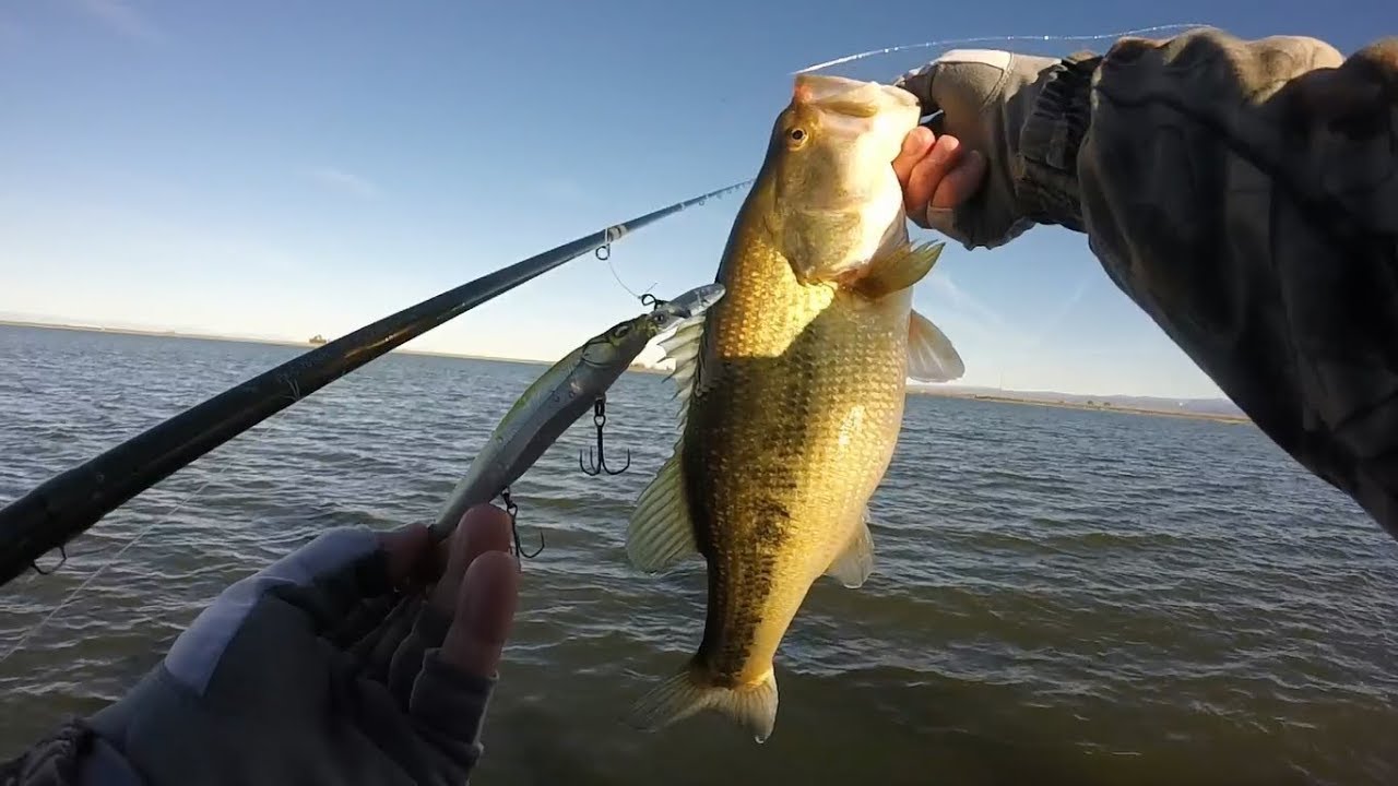 JERKBAIT putting the HAMMER down on WINTER BASS....MEGABASS VISION 110+1 SLAY FEAST...