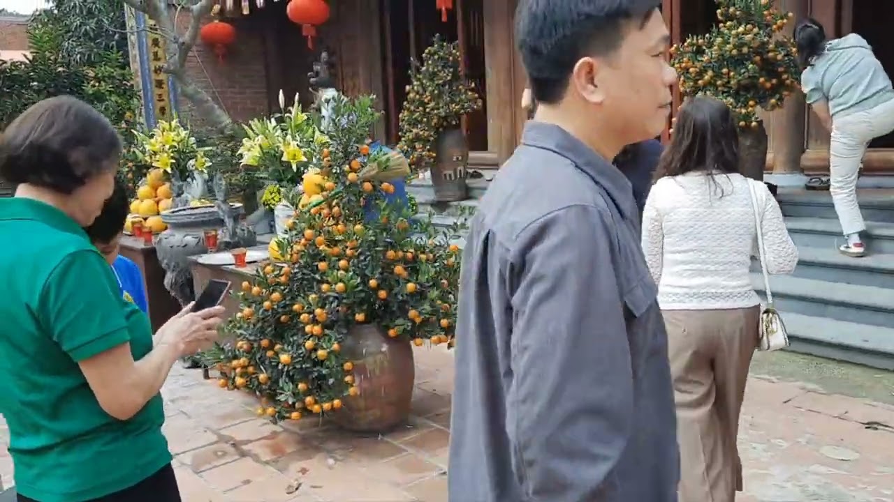 Hội lim là cái nôi đất tổ quan họ dân ca.bắc ninh.11/12/13/tháng giêng 2026.