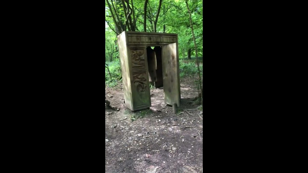 Banstead Woods Walk