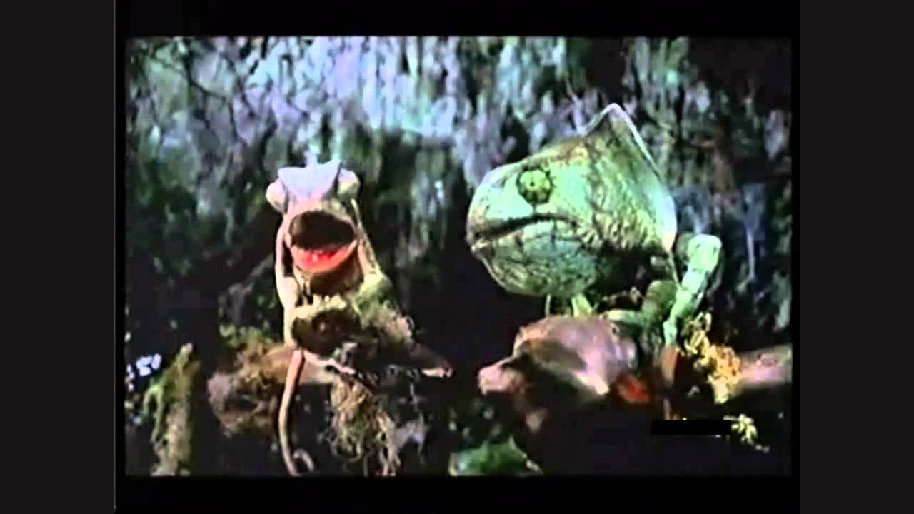 Budweiser - The Swamp's New Craze