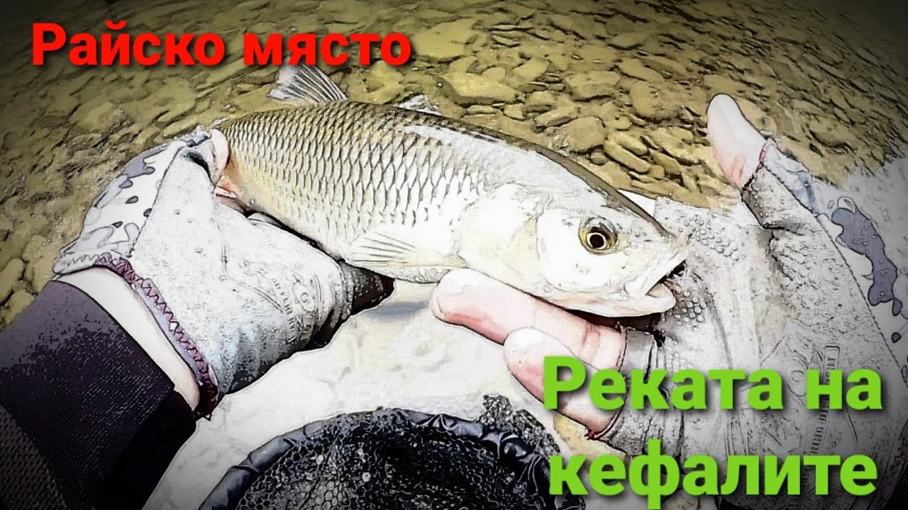 Страхотен риболов на кефали, по нови непознати за мен места.