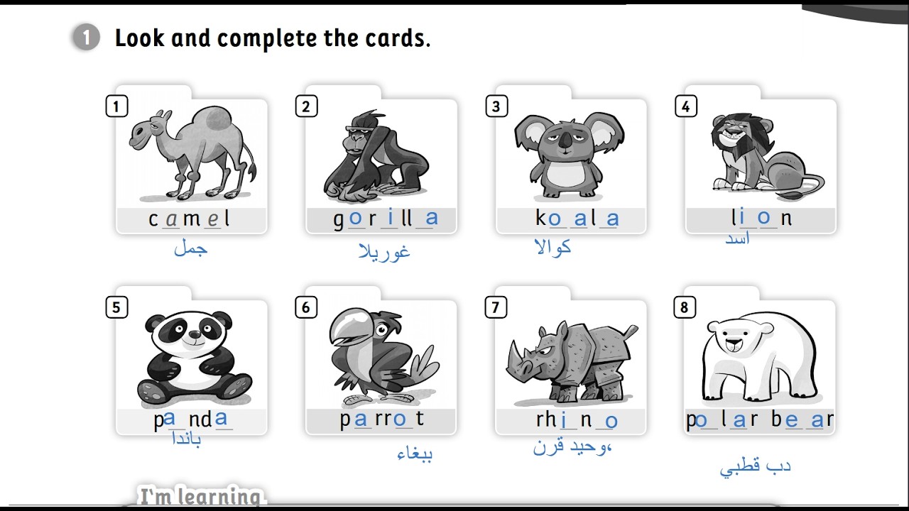 الصف الخامس انجليزي كتاب التمارين صفحه 9 المنهاج الجديد الفصل الثاني Jordan Team together